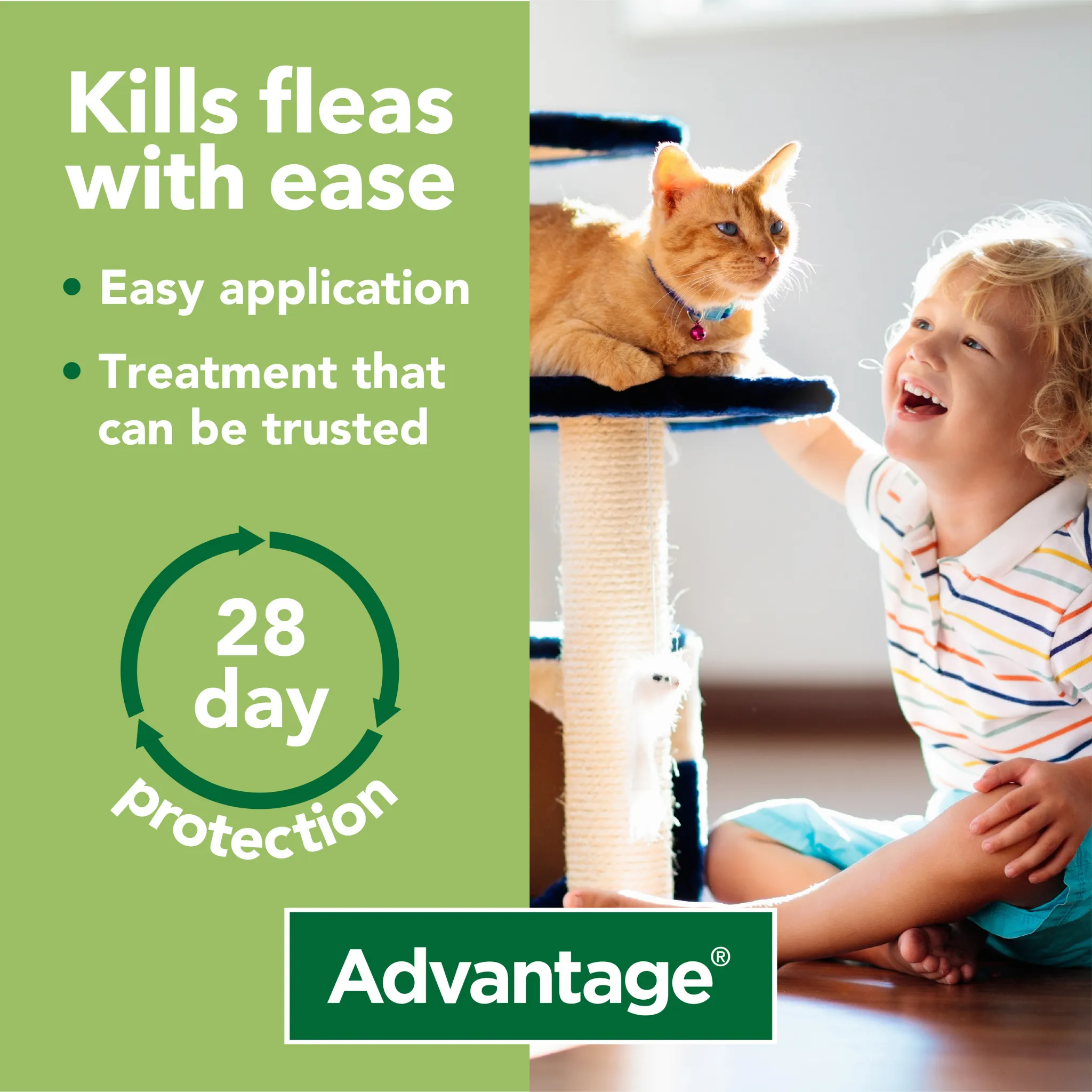 Advantage 80, 4 Week Spot-On Flea Treatment For Cats & Rabbits - 4kg and Over - 4 Pipettes