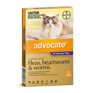 ADVOCATE CAT >4KG PURPLE 6 PACK