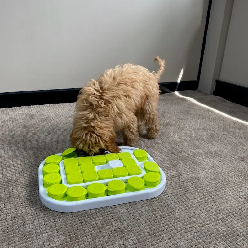 All For Paws Interactives Dog Sokudo Puzzle Toy