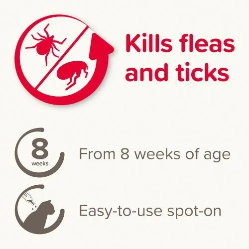 Beaphar FIPROtec® Spot-On for Cats - 4 Pipettes
