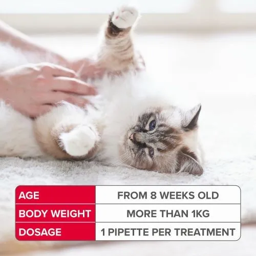 Beaphar FIPROtec® Spot-On for Cats - 4 Pipettes