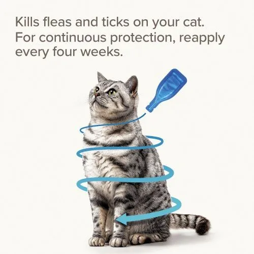 Beaphar FIPROtec® Spot-On for Cats - 4 Pipettes