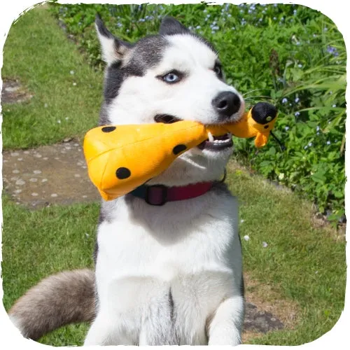 Beco Recycled Soft Dog Toy - Giraffe