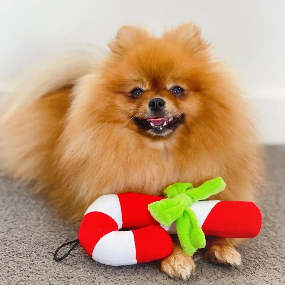 Candy Cane Plush Dog Toy﻿