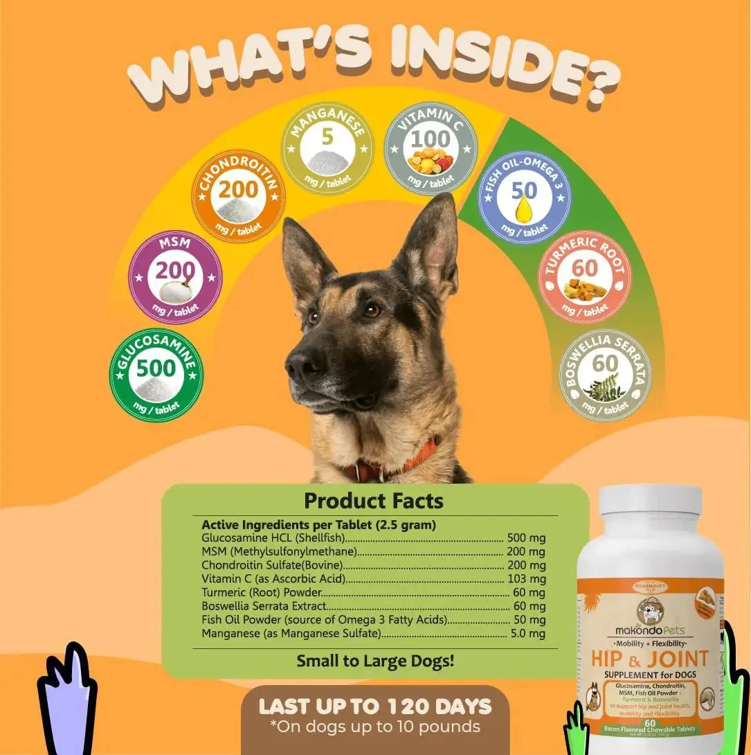 Canine Arthritis Relief with Glucosamine and Turmeric