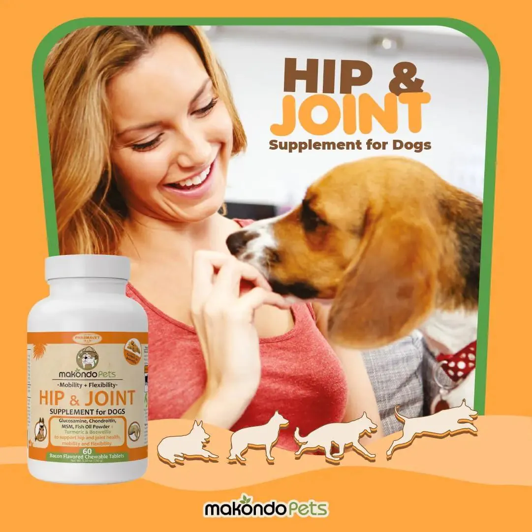 Canine Arthritis Relief with Glucosamine and Turmeric
