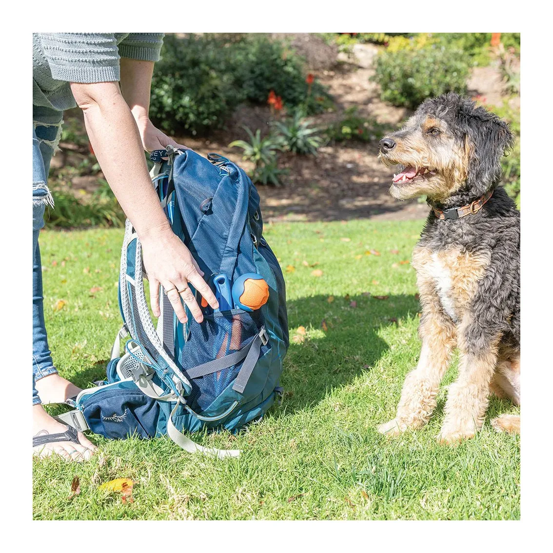 Chuckit! Fetch & Fold 18m Launcher (30cm Folded)
