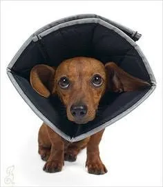 Comfy Cone - Small Long
