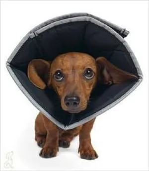 Comfy Cone - Small Long