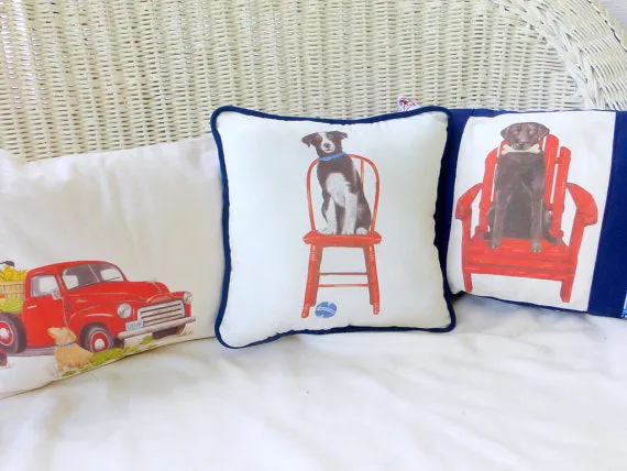 Decorative dog Pillow, border collie pillow, boys room decor