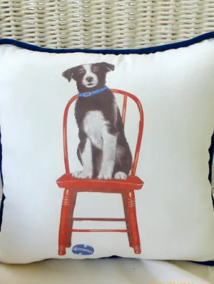 Decorative dog Pillow, border collie pillow, boys room decor