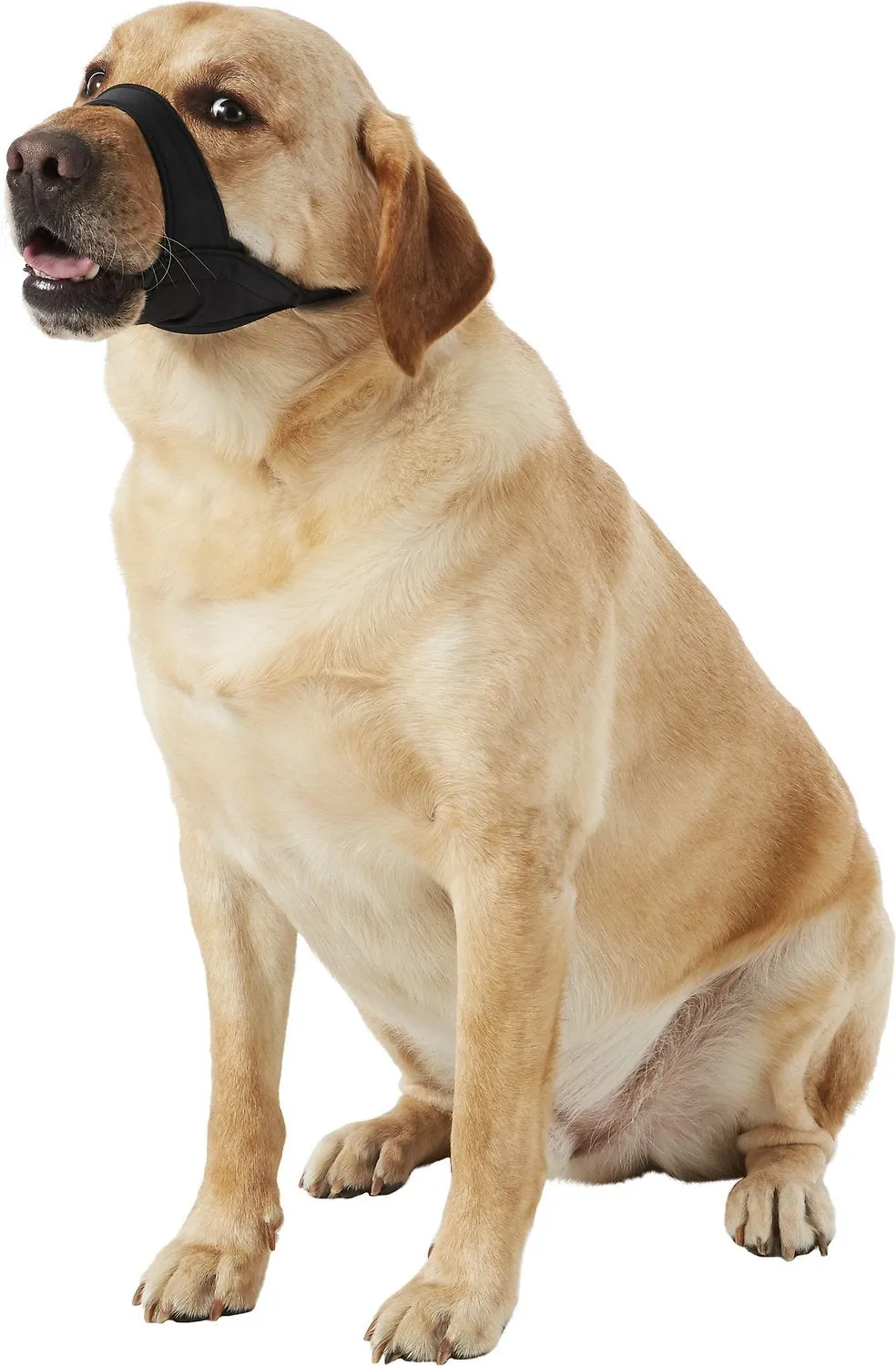 DogIt Muzzle Nylon Black - Large (18.5cm)