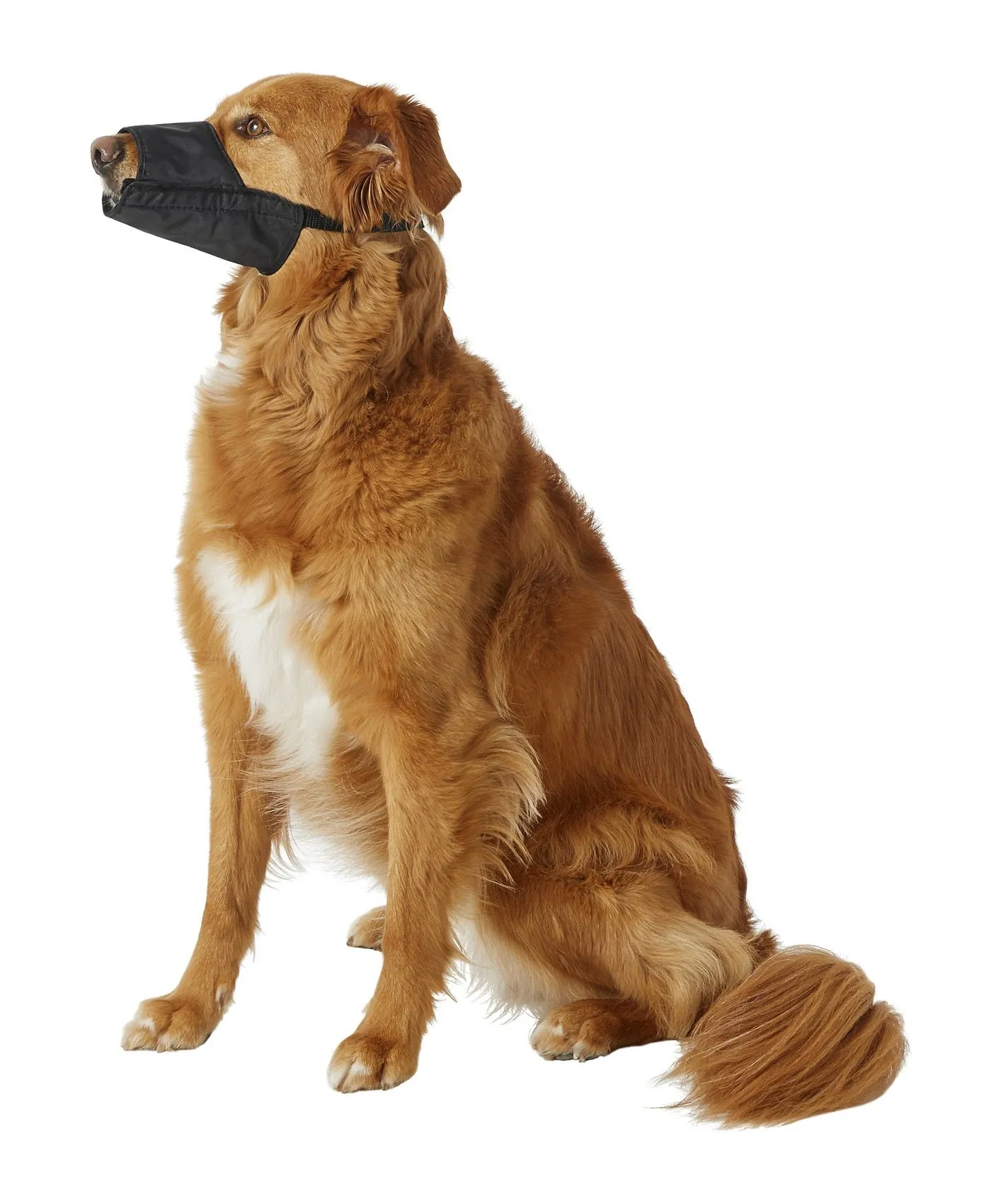 DogIt Muzzle Nylon Black - Small (12cm)