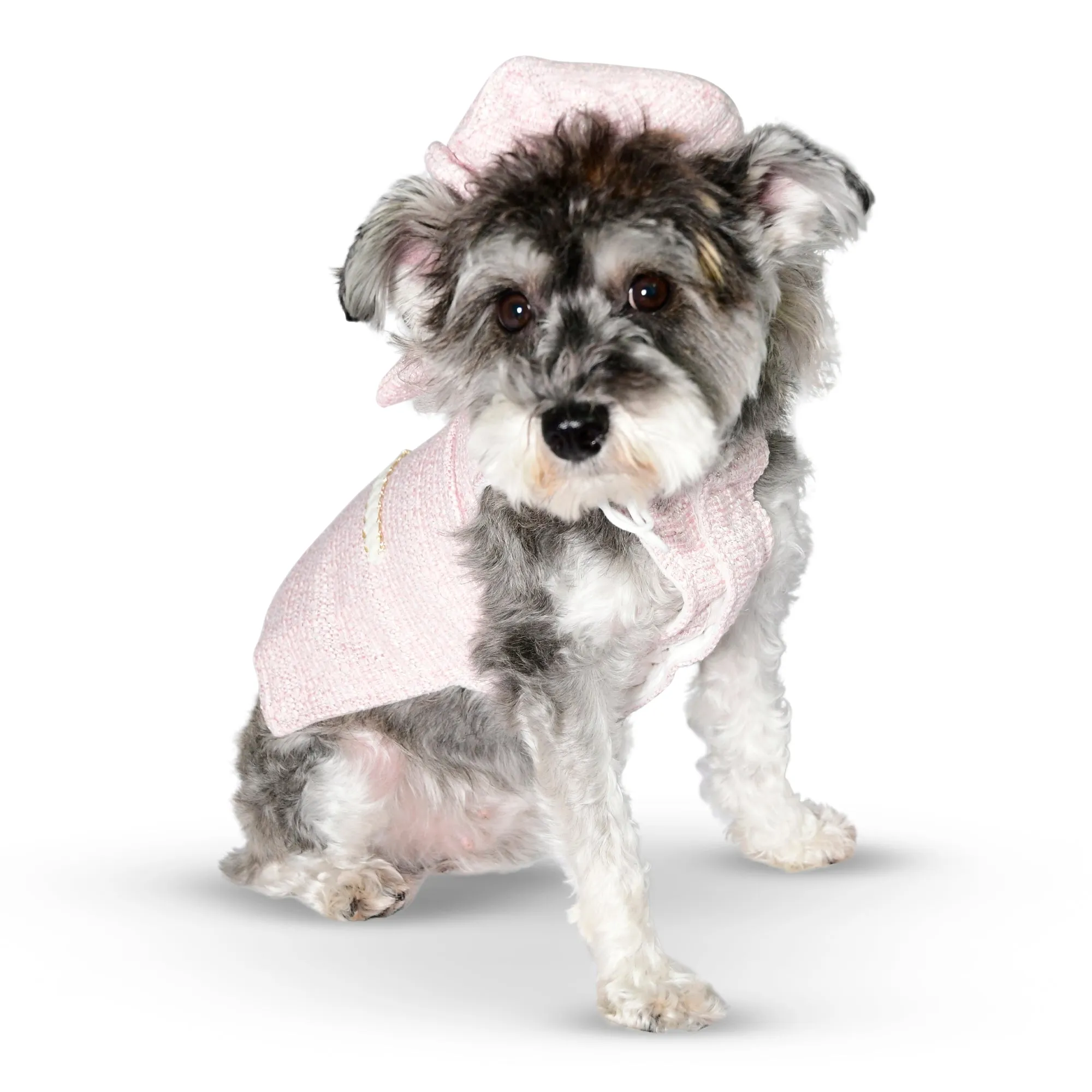 Fleece-Lined Pet Dress