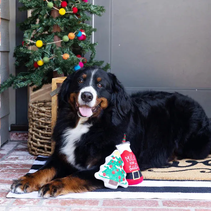 Fringe Dog Toy Holiday Santa Ready