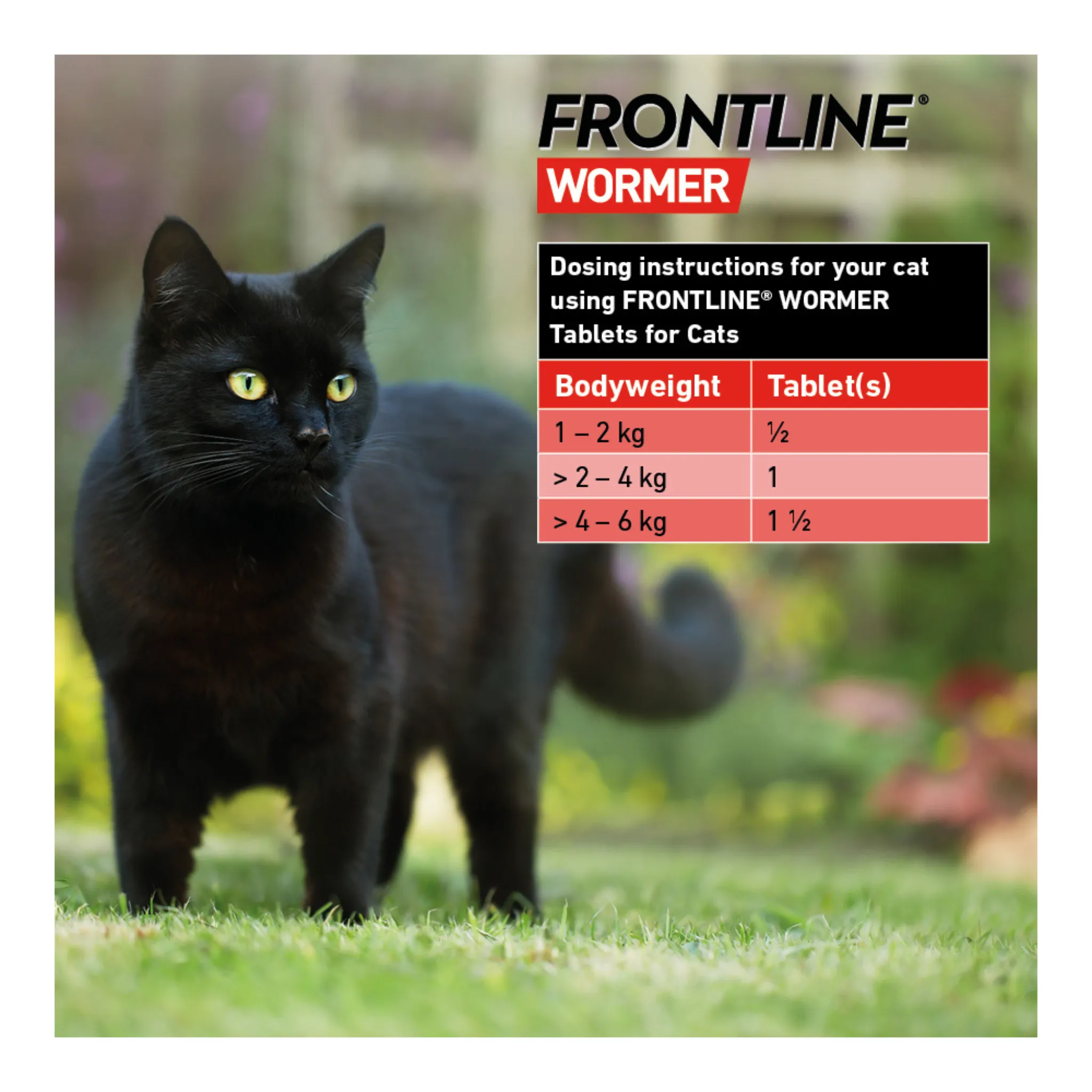Frontline® Wormer For Cats - 2 Pack