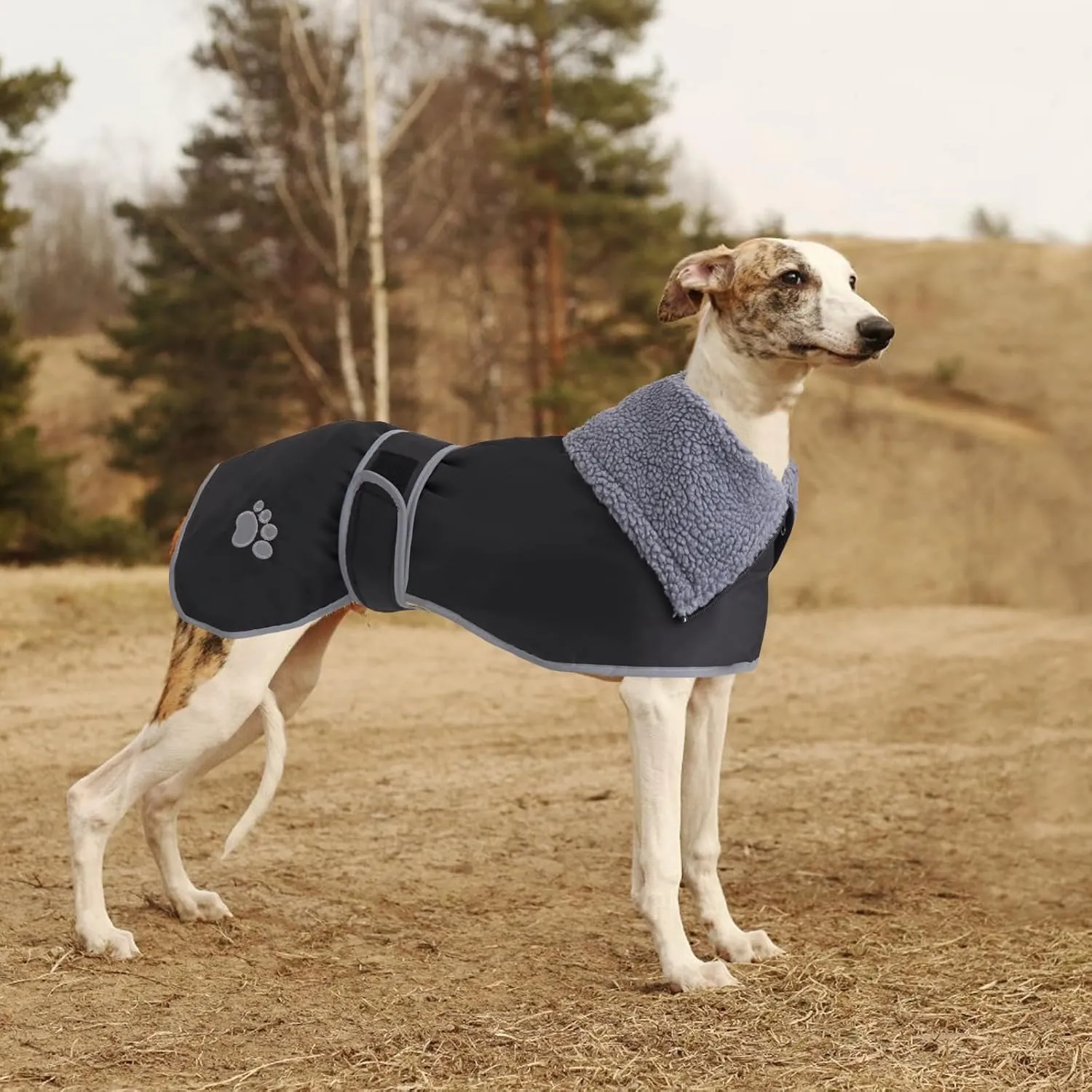 Geyecete Dog Winter Coat Geyecete Greyhound Raincoat Fabric with Lamb Velvet Inside Outdoor Dog Apparel with Adjustable Bands for Medium, Large Dog-Black-S