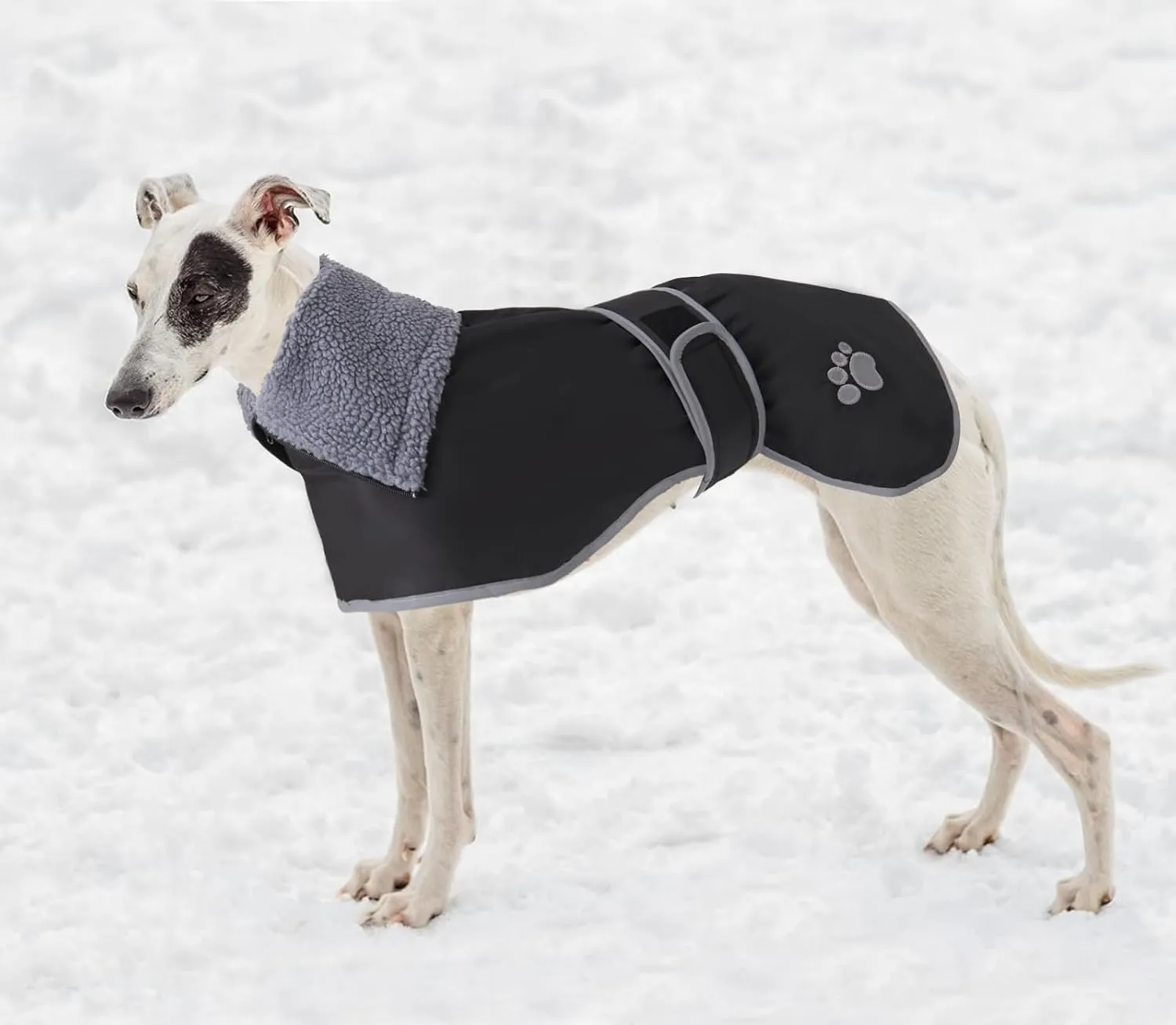 Geyecete Dog Winter Coat Geyecete Greyhound Raincoat Fabric with Lamb Velvet Inside Outdoor Dog Apparel with Adjustable Bands for Medium, Large Dog-Black-S