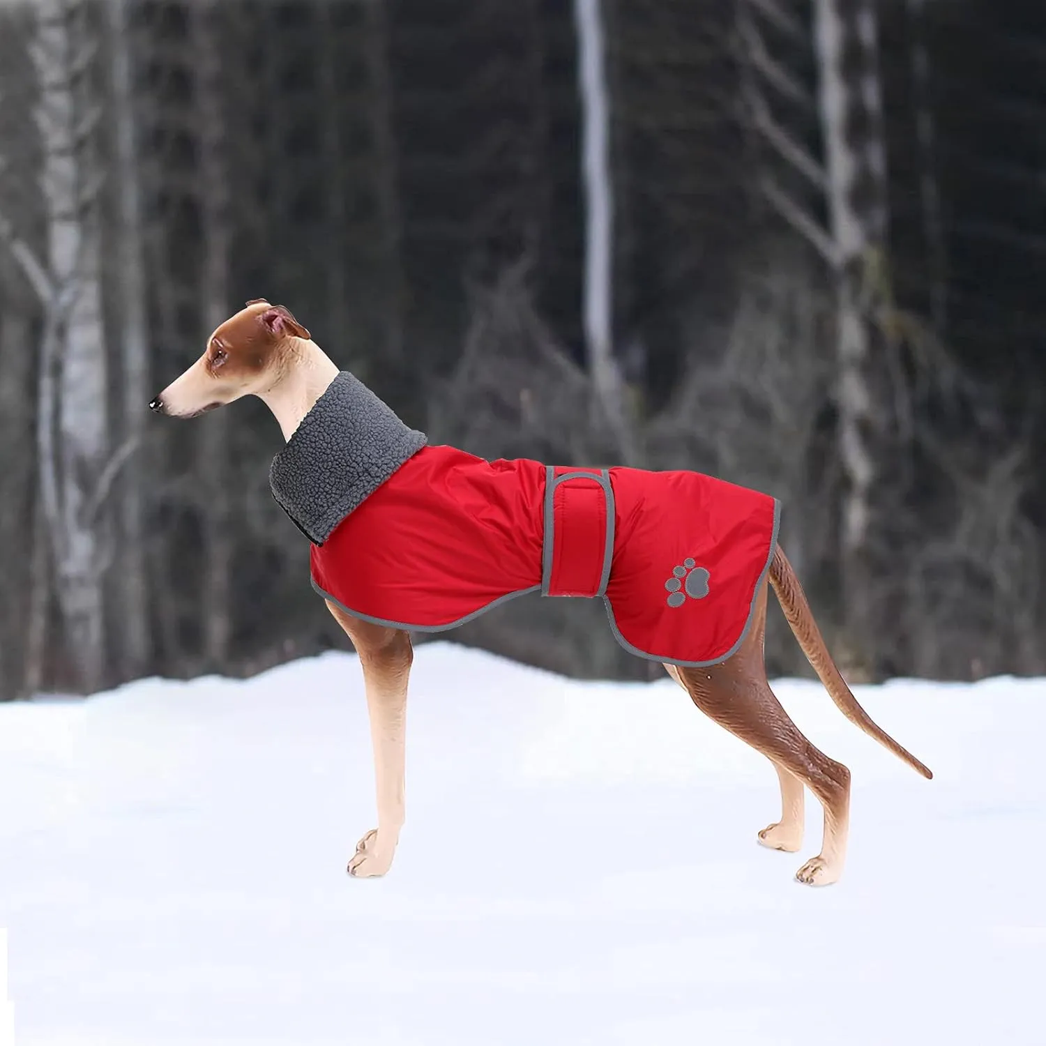 Geyecete Dog Winter Coat Greyhound Raincoat Fabric with Lamb Velvet Inside Outdoor Dog Apparel with Adjustable Bands for Medium, Large Dog-Red-XL