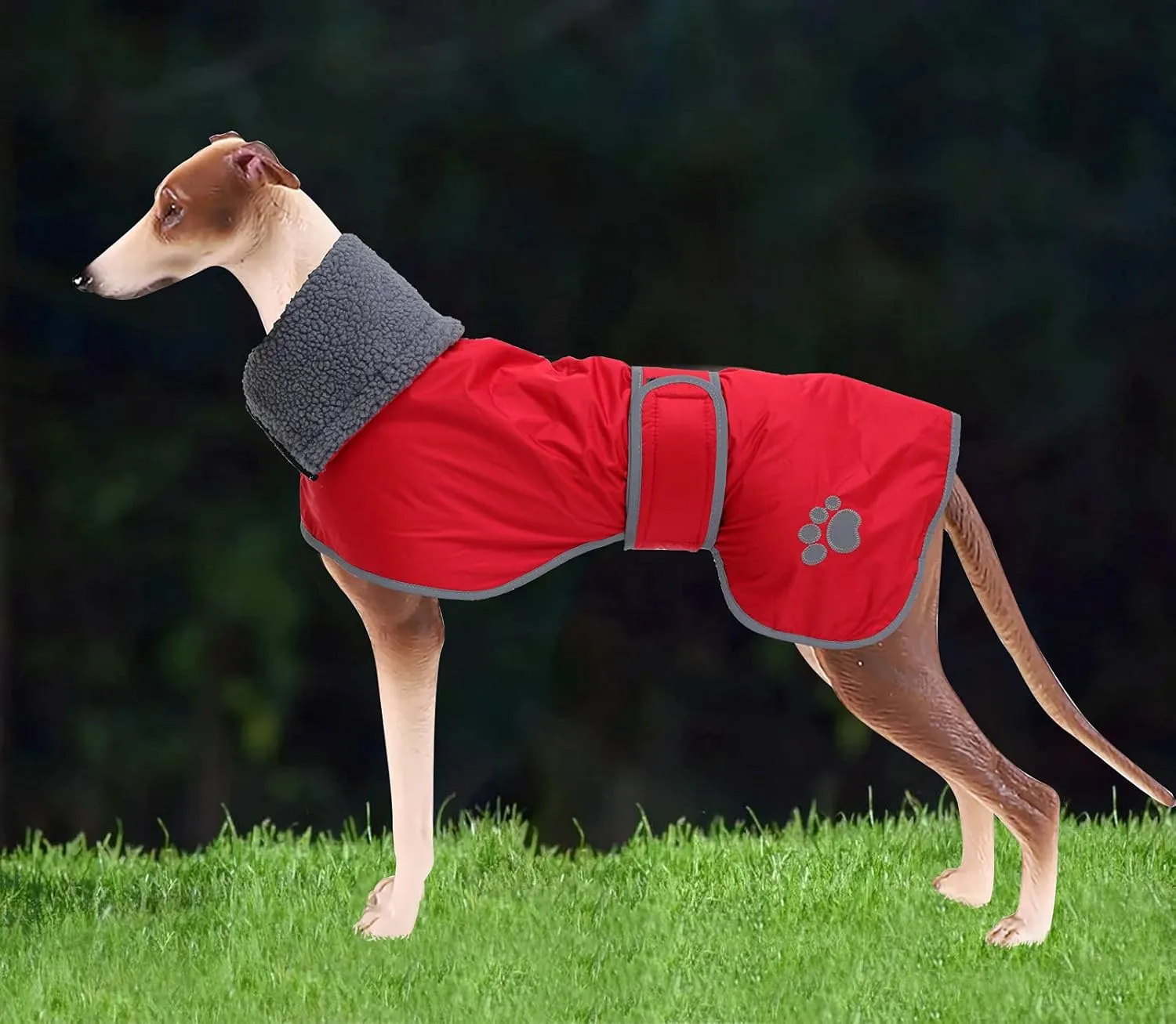 Geyecete Dog Winter Coat Greyhound Raincoat Fabric with Lamb Velvet Inside Outdoor Dog Apparel with Adjustable Bands for Medium, Large Dog-Red-XL