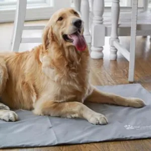 Green Pet Shop "COOL PET" Washable Pad Cover, Light Blue (Small-Extra Large)