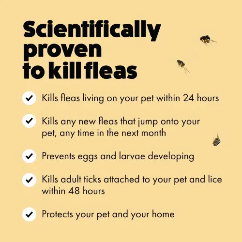 Itch Flea Cat Spot-on Flea & Tick Treatment (1kg ) 3 pipettes