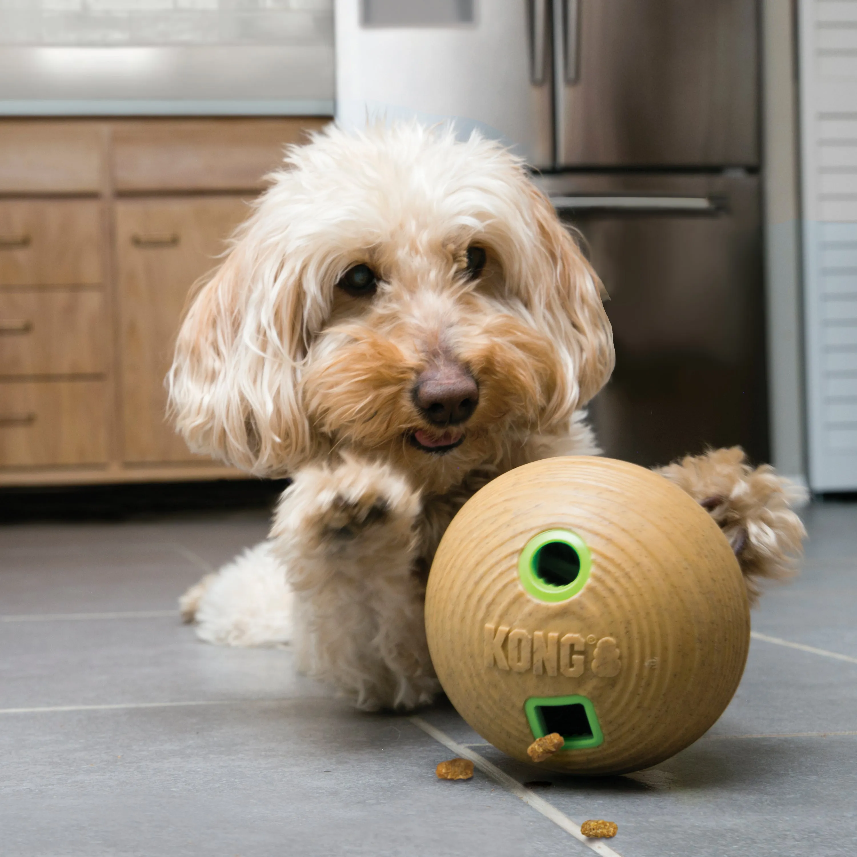 Kong Medium Bamboo Feeder Dumbell, Dog Toy