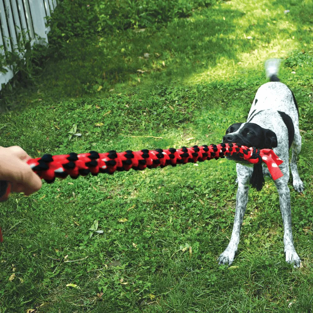 KONG - Signature Rope Dual Knot Dog Toy 40inch