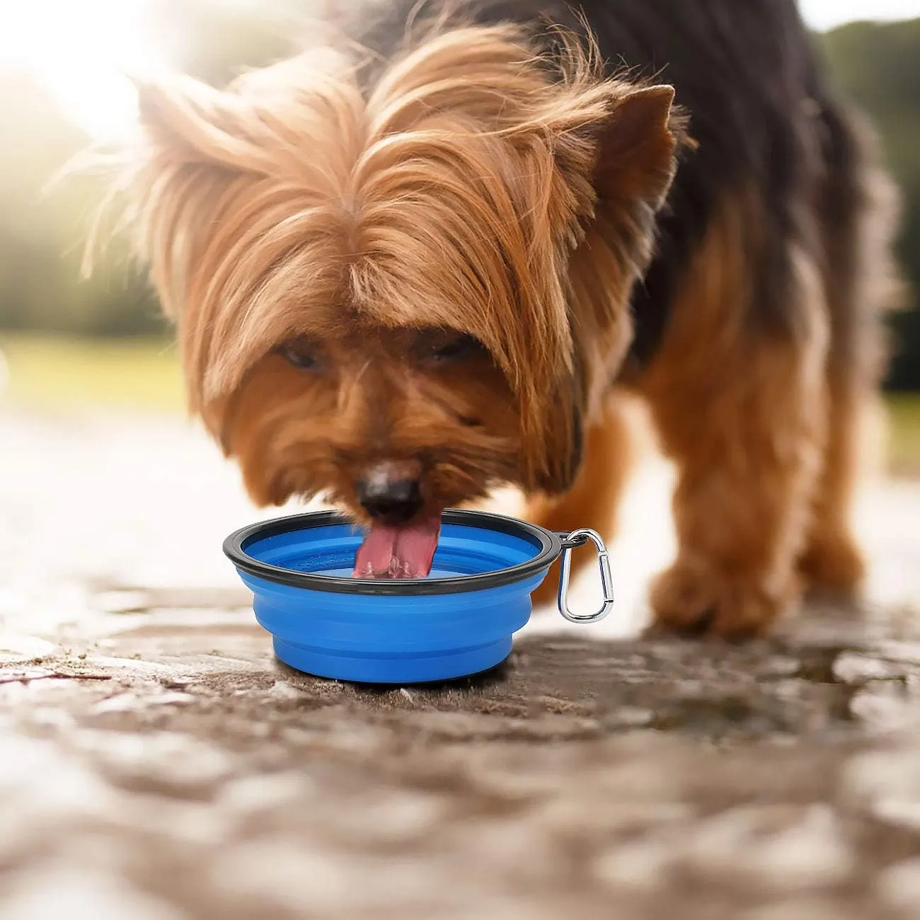 Kytely Large Collapsible Dog Bowls 2 Pack, 34oz Foldable Dog Travel Bowl, Portable Pet Water Food Bowl with Clasp, Pet Cat Feeding Cup Dish for Traveling, Walking, Hiking (Black Blue)