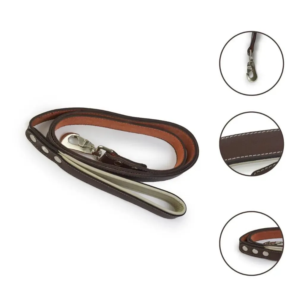 Leather Dog Collar With Leash