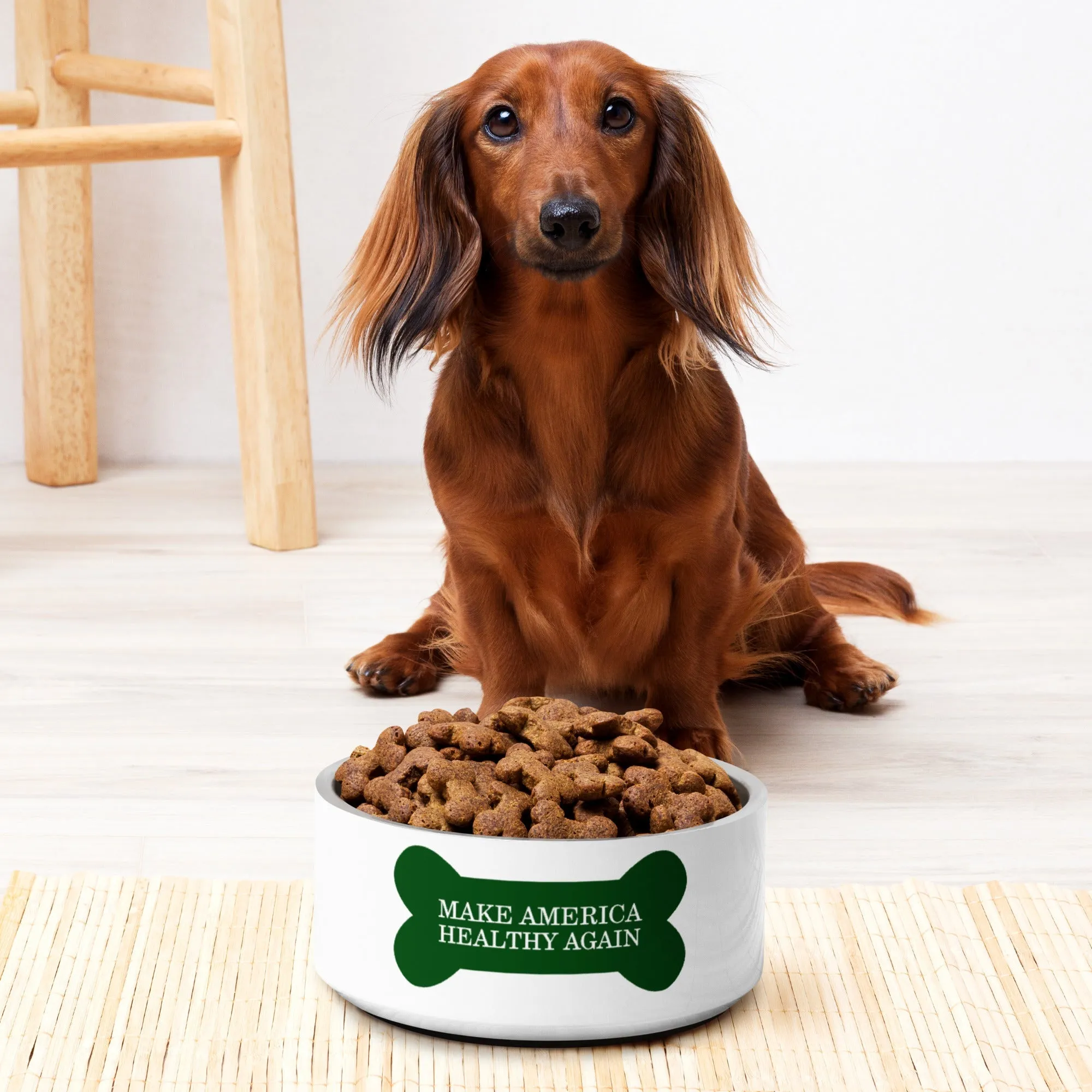 Make America Healthy Again Dog Bone Pet Bowl