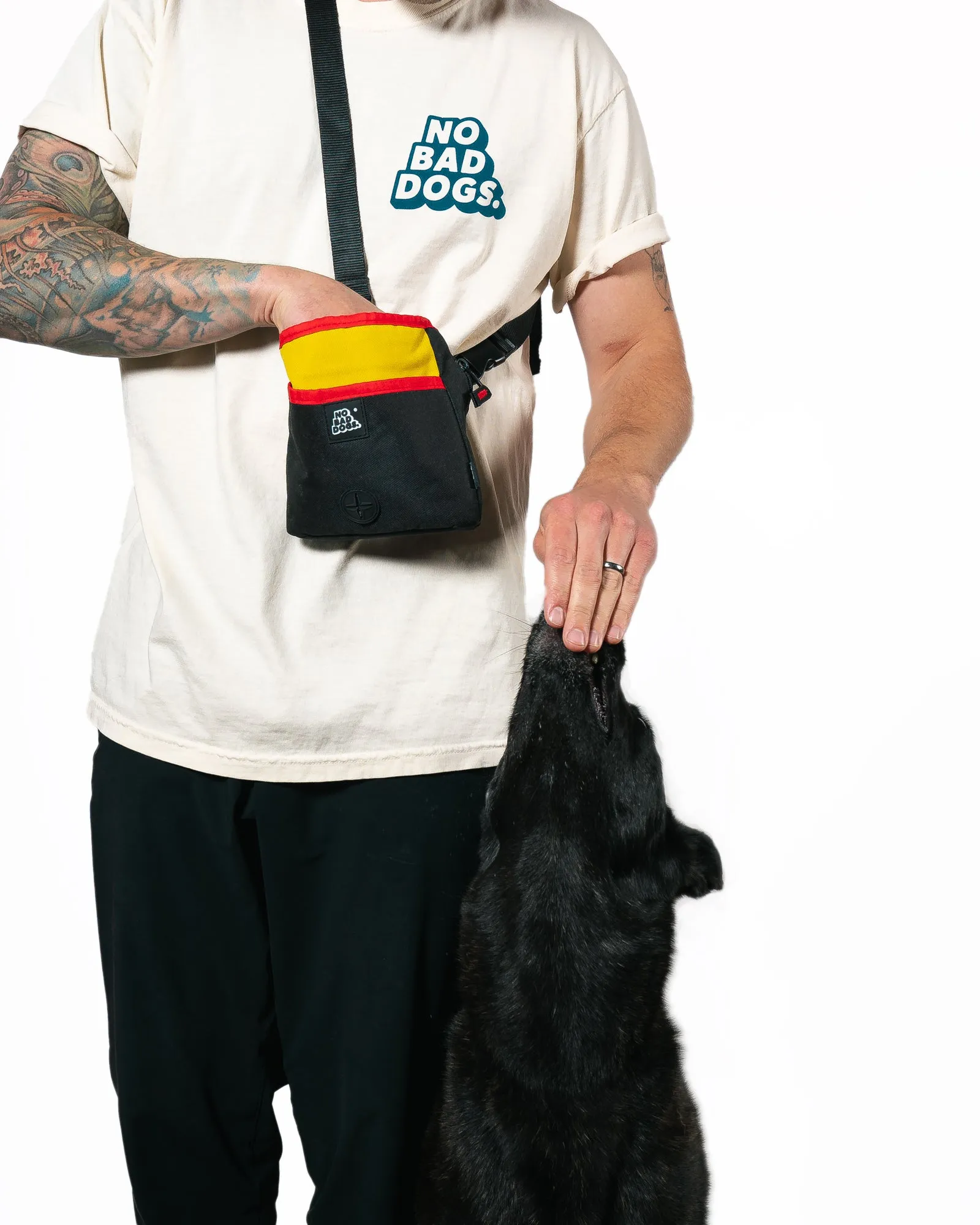 No Bad Dogs Interactive Treat Pouch!