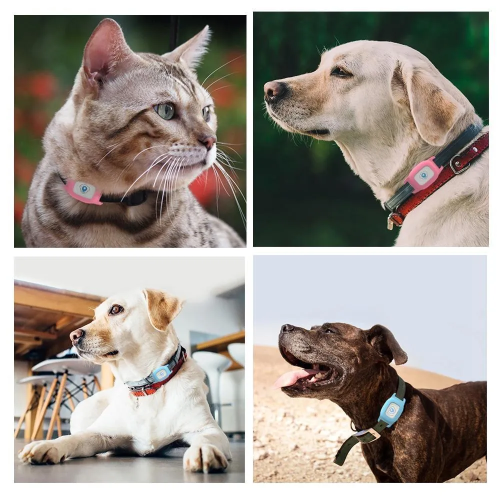 Pet GPS Collar - For Dogs and Cats
