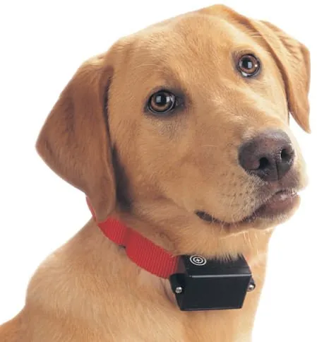 PetSafe Bark Control Collar