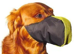 Pro Guard Softie Muzzles - Large - Green