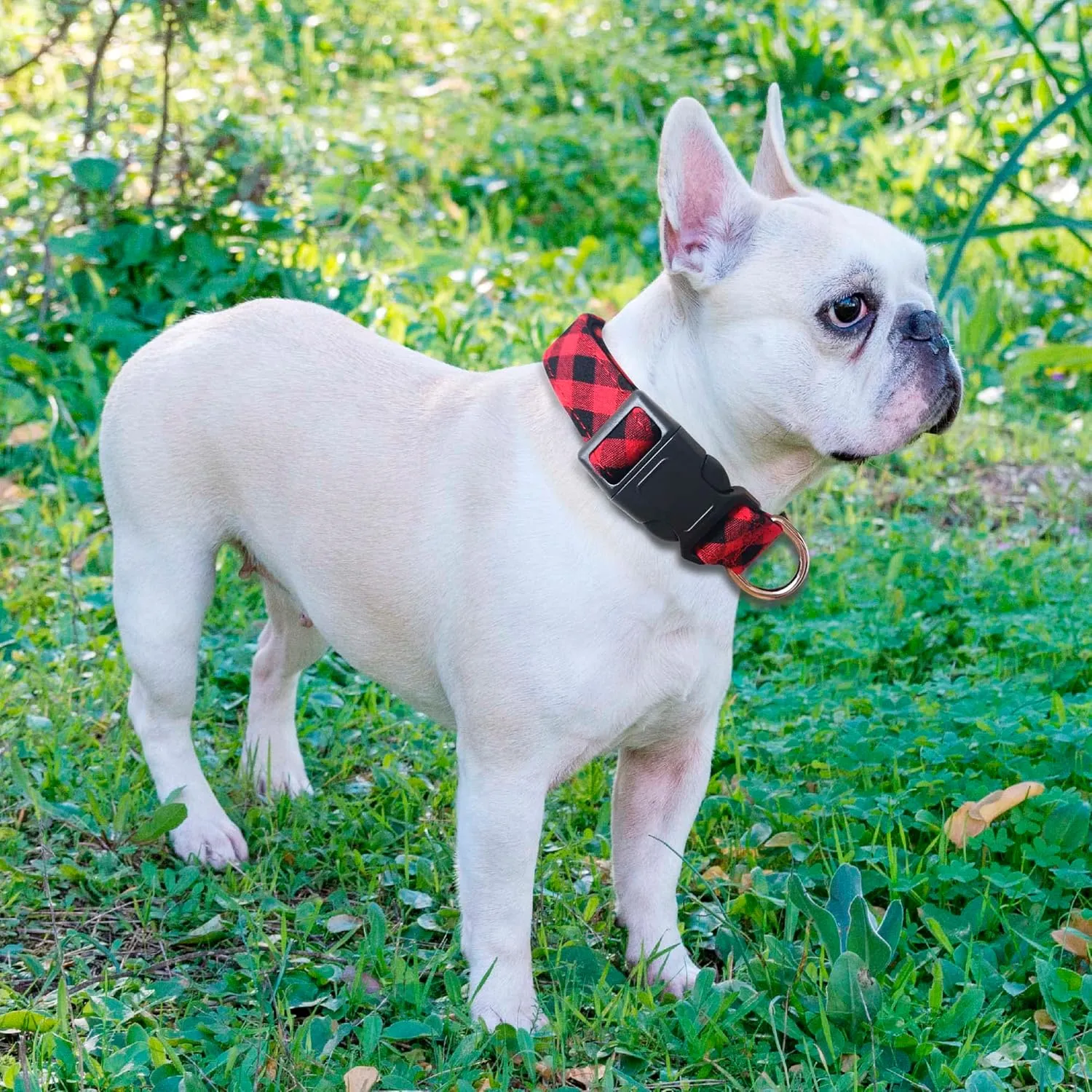 Reflective Dog Collar Padded with Soft Neoprene Breathable Adjustable Nylon Dog Collars for Small Medium Large Dogs (Medium (Pack of 1), Red Plaid Collar Leash)
