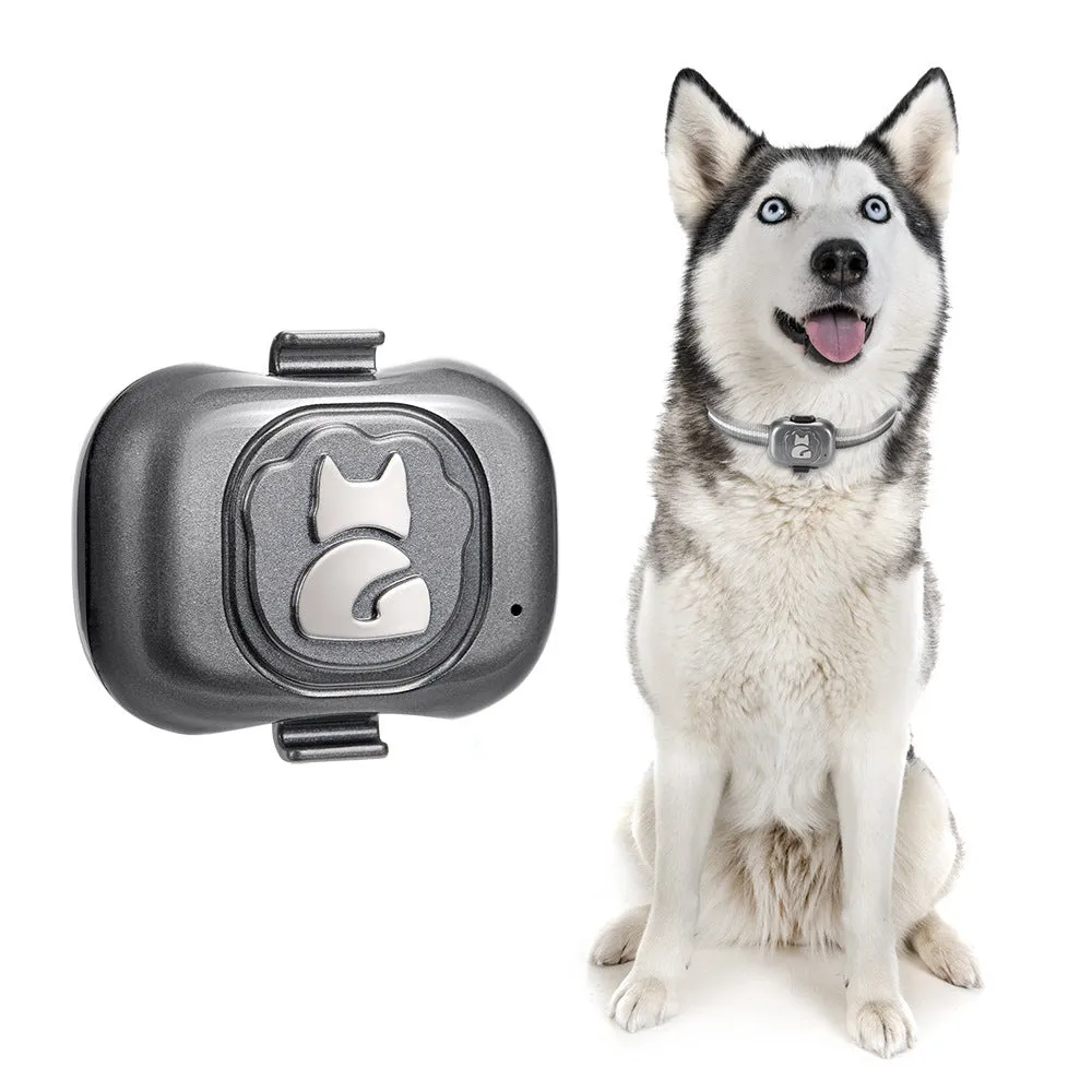 Reliable Anti-Loss GPS Tracking for Pets