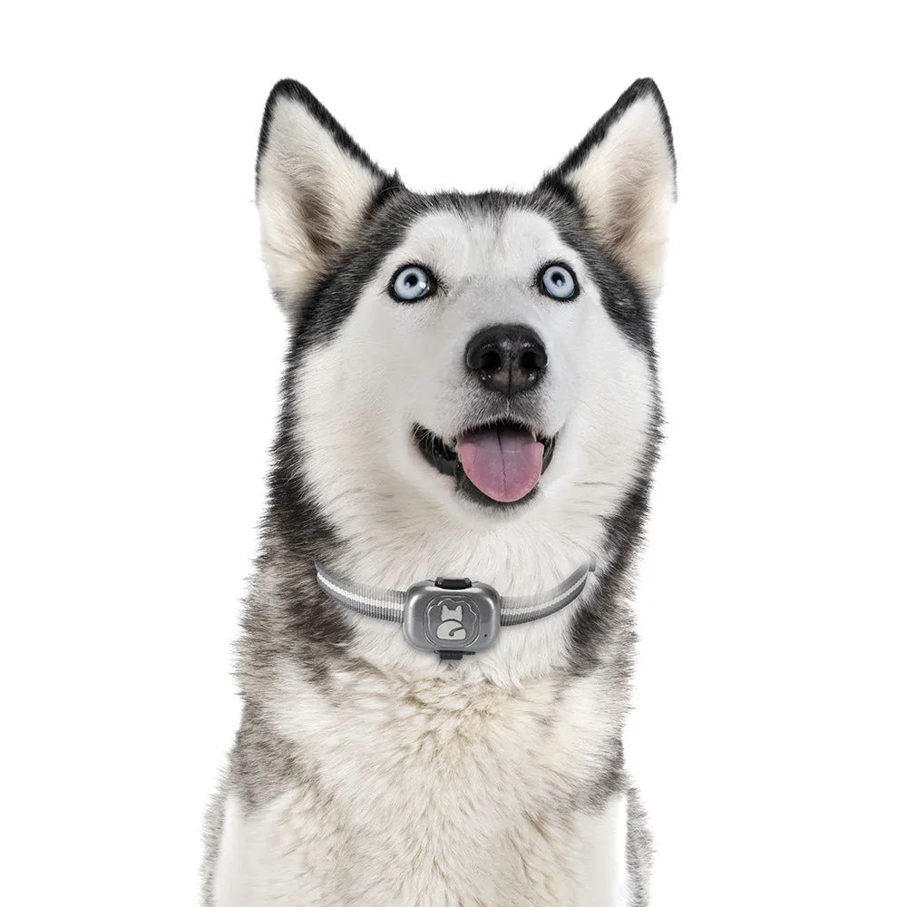 Reliable Anti-Loss GPS Tracking for Pets