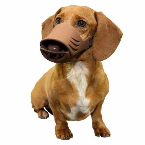 Silicon Dog Muzzle, Coffee (4 Sizes)